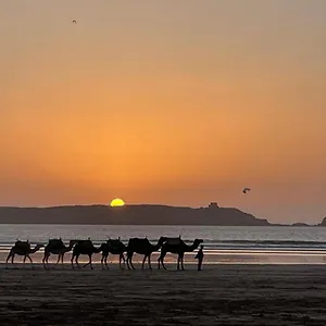 La Symbiose , Essaouira Maroc